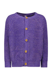 thumbnail: The New Chapter gebreid vest paars