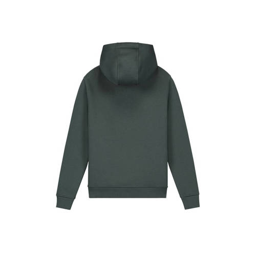 Malelions hoodie Striped Signature met printopdruk grijsgroen Sweater Jongens Katoen Capuchon 164