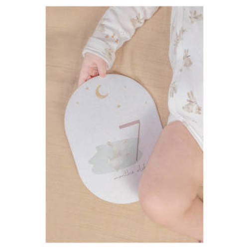 Little Dutch Mijlpaalkaarten Baby Bunny Geschenkset