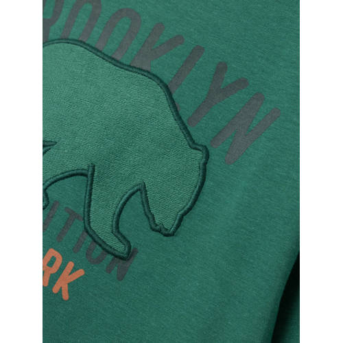 Name it MINI longsleeve NMMLASSO met printopdruk antiekgroen Jongens Stretchkatoen Ronde hals 104