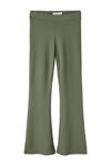 Deep Lichen Green