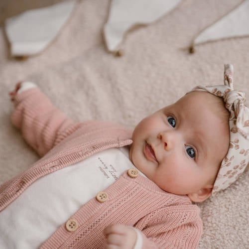 Dirkje baby gebreid vest roze Meisjes Katoen Ronde hals Effen 74