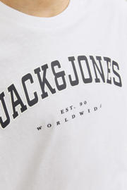 thumbnail: JACK & JONES JUNIOR T-shirt JJECALEB VARSITY met logo wit