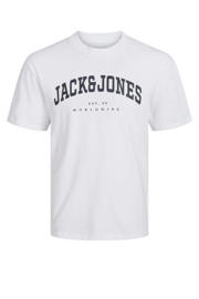 thumbnail: JACK & JONES JUNIOR T-shirt JJECALEB VARSITY met logo wit