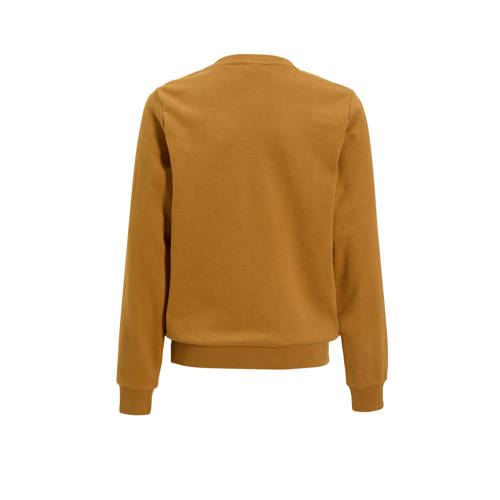 s.Oliver sweater bruin Trui Jongens Katoen Ronde hals Printopdruk 146 152