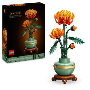 Chrysant Bouwpakket voor Volwassenen 10368