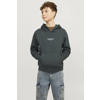 JACK & JONES JUNIOR hoodie JORVESTERBRO met tekst diep donkergroen