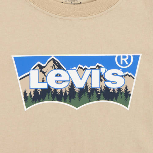 Levis Levi's Kids T-shirt FORESTED MOUNTAINS BATWING met logo beige Jongens Katoen Ronde hals 176