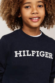 thumbnail: Tommy Hilfiger sweater blauw