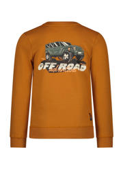 thumbnail: TYGO & vito sweater Silver met backprint kleibruin