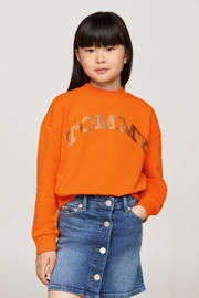 thumbnail: Tommy Hilfiger sweater