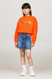 thumbnail: Tommy Hilfiger sweater