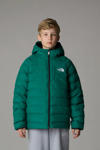 Groen/zwart