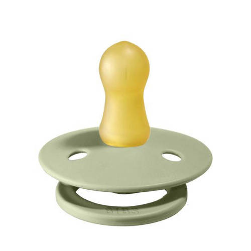 BIBS Colour fopspeen Ivory Sage (2 stuks)