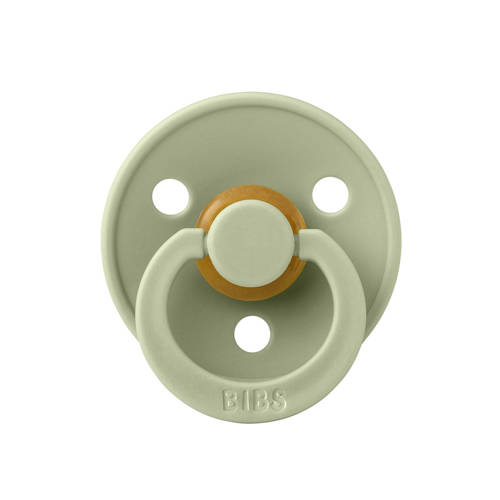 BIBS Colour fopspeen Sage Hunter Green (2 stuks)