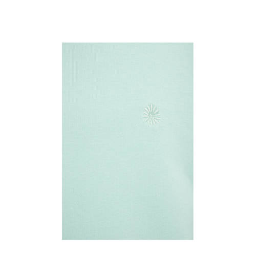 WE Fashion sweater mintgroen Effen 146 152 | Sweater van