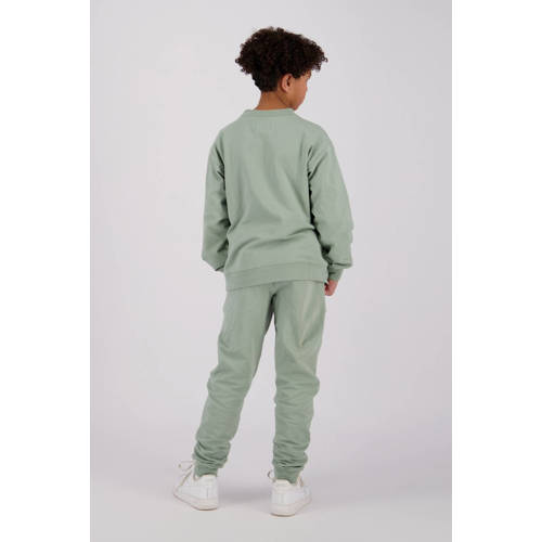 Raizzed sweater Oxnard met printopdruk zachtgroen Printopdruk 116