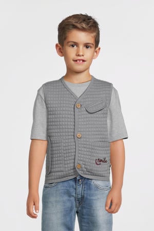 gilet grijs