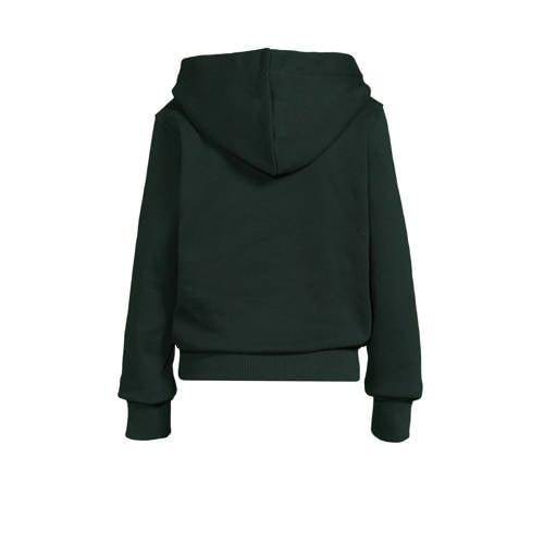 G-Star Raw hoodie groen Trui Jongens Katoen Capuchon Effen 116