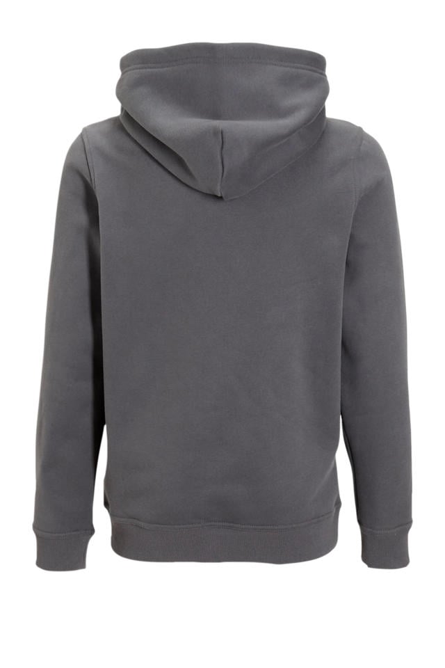 BLACK BANANAS hoodie grijs kopen? Morgen in huis - Main Image