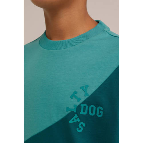 WE Fashion T-shirt groen wit Jongens Katoen Ronde hals Meerkleurig 134 140