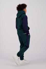thumbnail: Raizzed hoodie Karup met logo donkergroen/donkerblauw