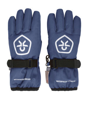 skihandschoenen blauw