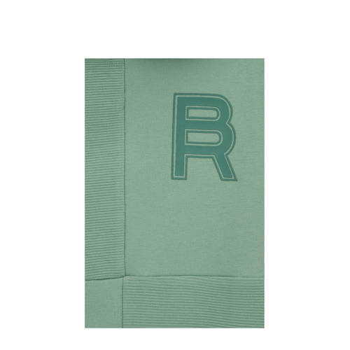 WE Fashion hoodie lichtgroen Trui Jongens Katoen Capuchon Effen 122 128
