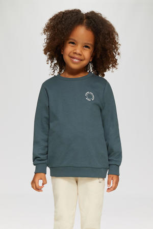 sweater grijs