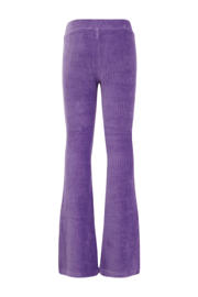 thumbnail: WE Fashion velours flared broek donkerpaars
