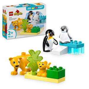 Stad Families van wilde dieren: pinguïns en leeuwen 10442