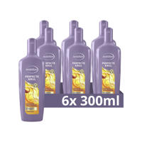 thumbnail: Andrélon Perfecte Krul shampoo - 6 x 300 ml