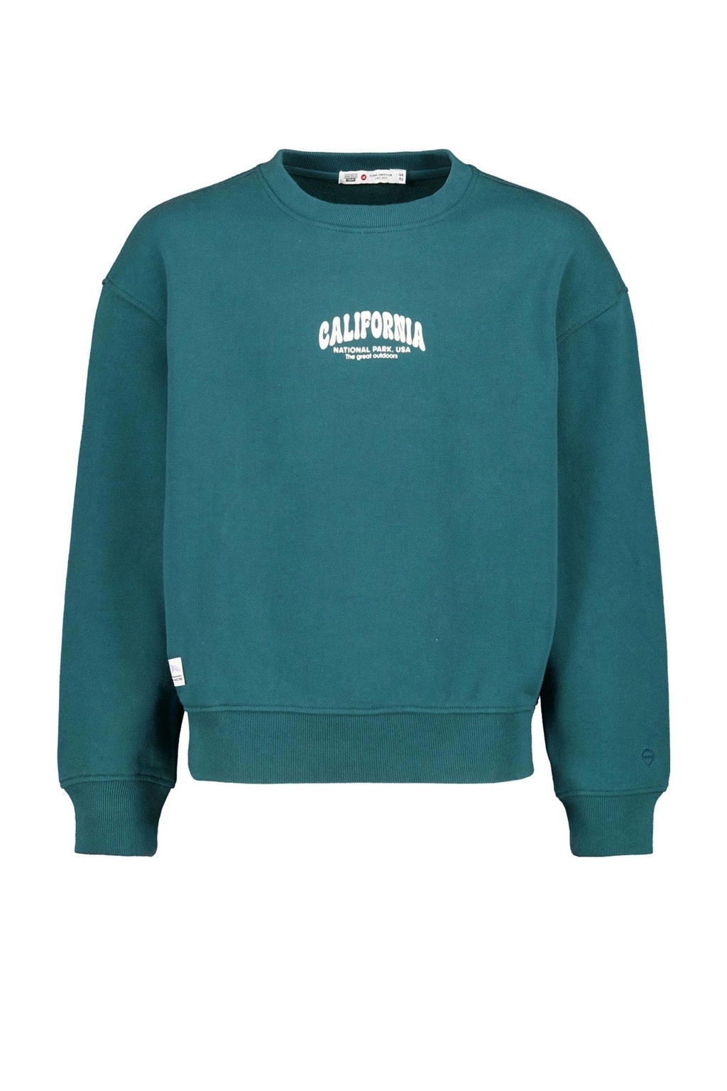 Groene meisjes America Today sweater van katoen met backprint, lange mouwen en ronde hals