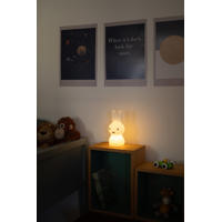 thumbnail: Mr Maria Nijntje Schijnt lamp - oplaadbaar/accu