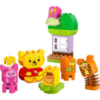thumbnail: LEGO DUPLO Disney Het Verjaardagsfeest van Winnie de Poeh 10457