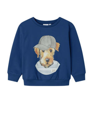 sweater blauw 