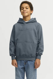 thumbnail: JACK & JONES JUNIOR hoodie grijs