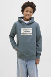 thumbnail: JACK & JONES JUNIOR hoodie grijs
