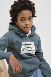 thumbnail: JACK & JONES JUNIOR hoodie grijs