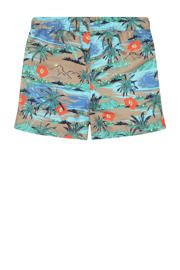 thumbnail: Tumble 'n Dry zwemshort bruin/groen/blauw