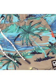 thumbnail: Tumble 'n Dry zwemshort bruin/groen/blauw