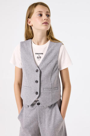gilet grijs
