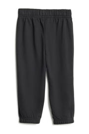 thumbnail: adidas Sportswear joggingpak rood/zwart