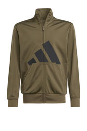 thumbnail: adidas Sportswear   trainingspak olijfgroen/zwart