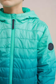thumbnail: WE Fashion Blue Ridge jack groen