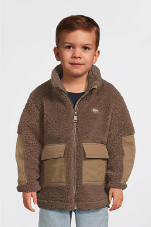 teddy jas bruin