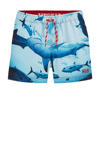 Blauw/rood