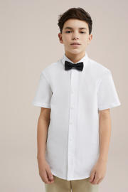 thumbnail: WE Fashion vlinderdas zwart