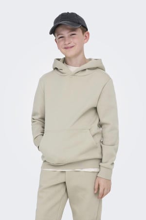 hoodie lichtgrijs
