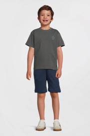 thumbnail: Quapi T-shirt grijs